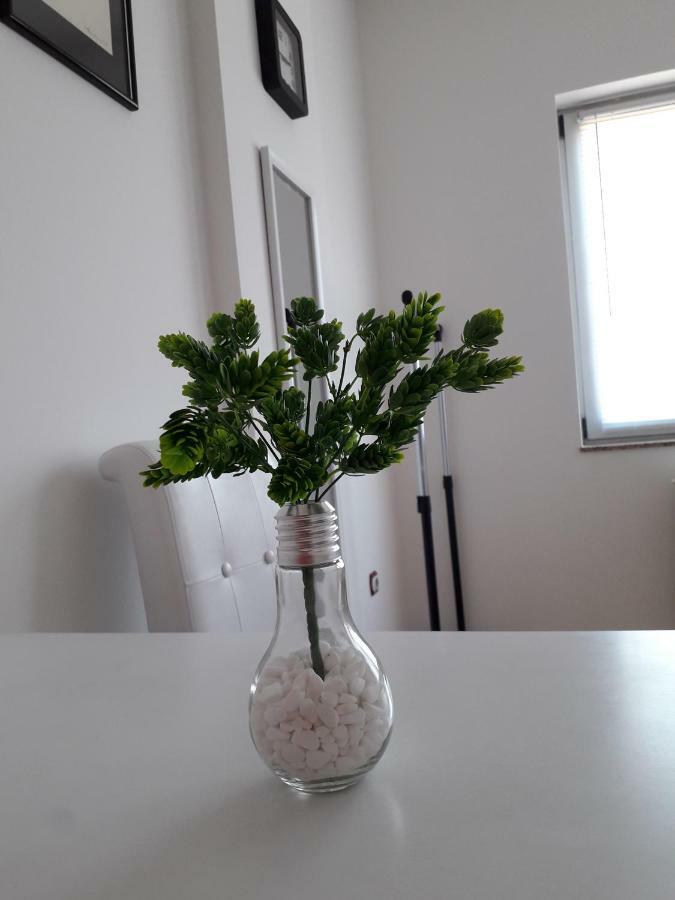 Apartman Dunja Ns 2 Нови Сад Екстериор снимка