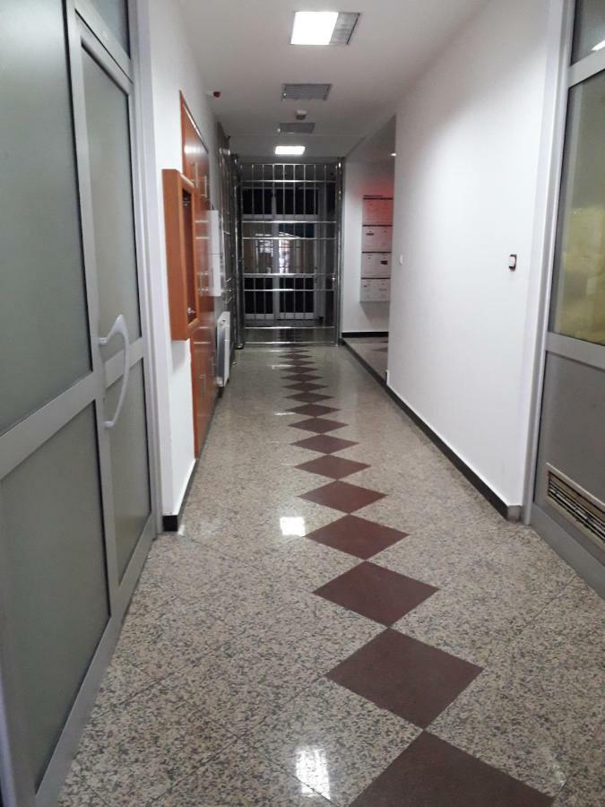Apartman Dunja Ns 2 Нови Сад Екстериор снимка